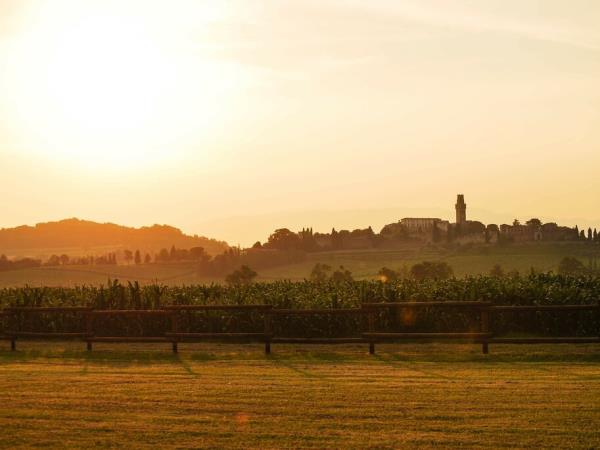 Italy vacation