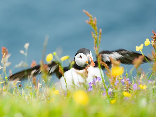 Faroe Islands photography holiday