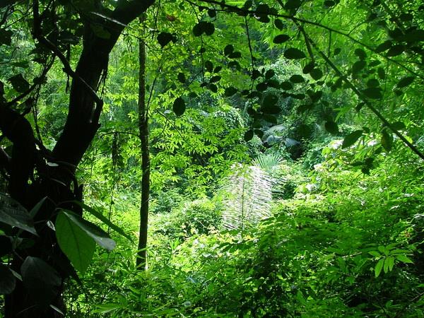 Northeast Thailand vacation, World Heritage sites