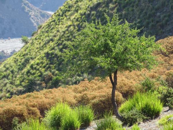 Calabria trekking holiday in Italy, tailor made
