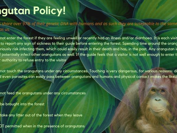 Sumatra fundraising trekking Adventure