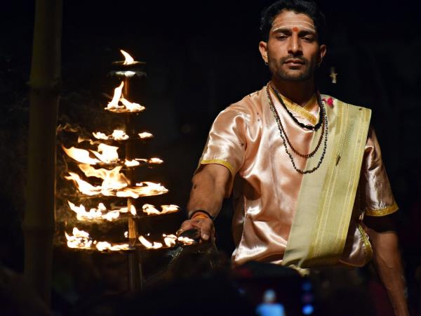 India wildlife and culture vacation