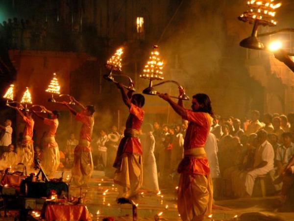India wildlife and culture vacation