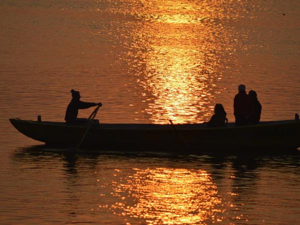 India wildlife and culture vacation
