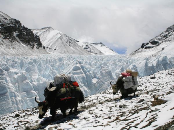 Mount Everest expedition north ridge route