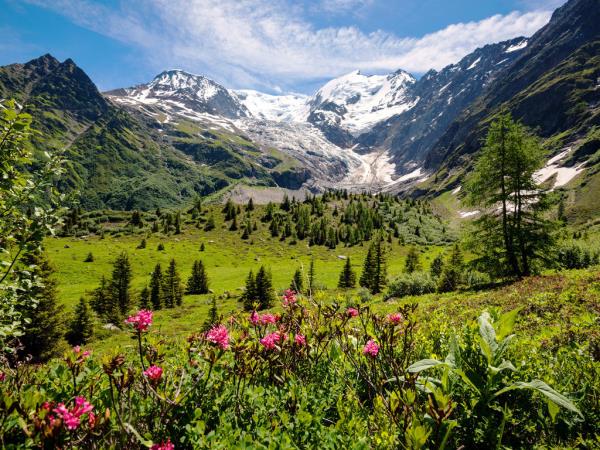 Tour du Mont Blanc hike
