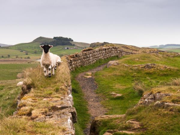 Hadrian's Wall cycling vacation in England