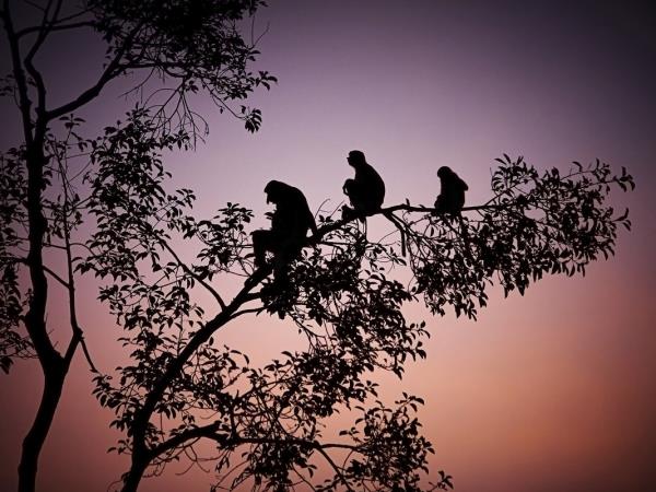 Kalimantan adventure vacation in Borneo