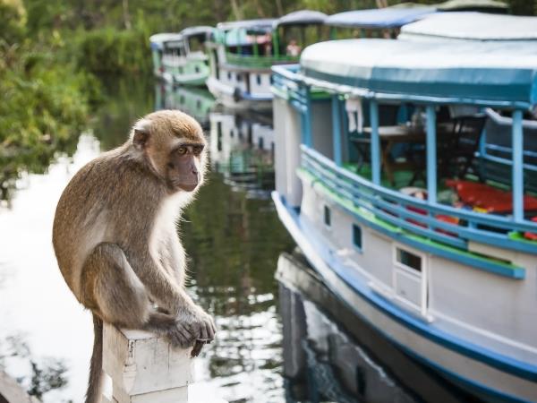 Kalimantan adventure vacation in Borneo