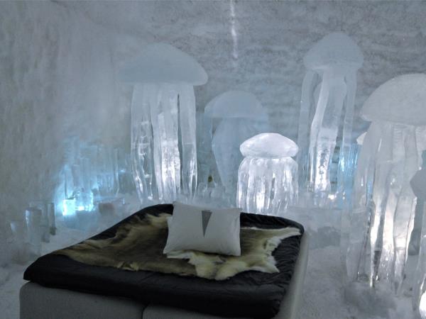 Swedish Lapland summer vacation in Sweden