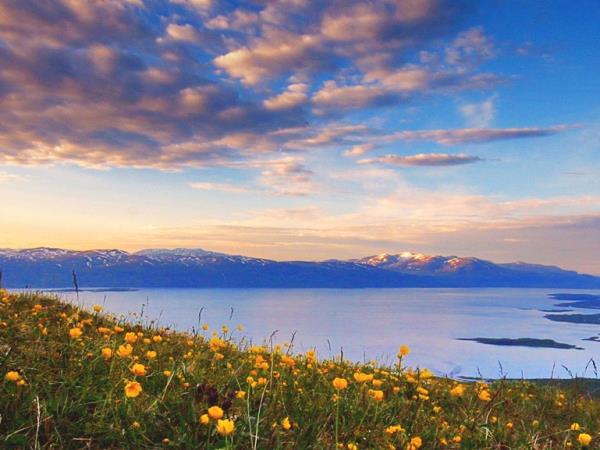 Swedish Lapland summer vacation in Sweden