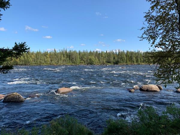 Swedish Lapland summer vacation in Sweden