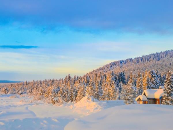 Northern lights vacation in Swedish Lapland