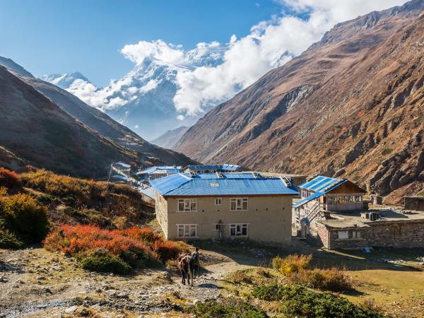 Annapurna circuit trek vacation