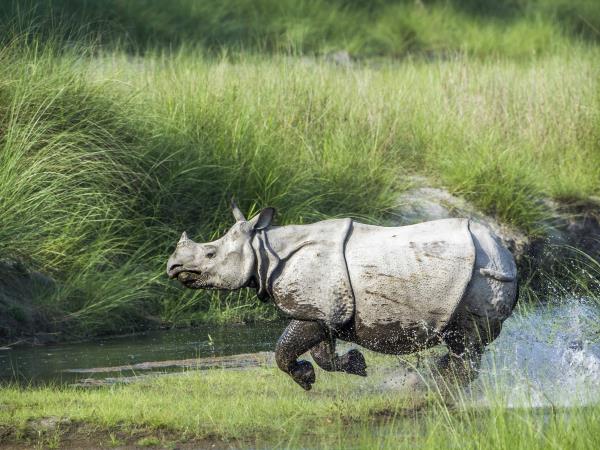 Explore Nepal in two weeks vacation