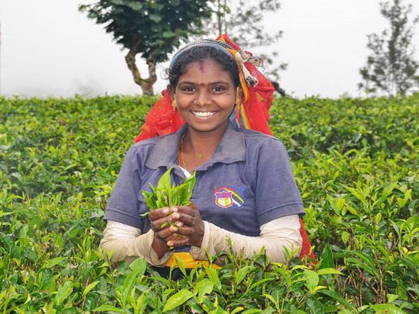 Sri Lanka photography tour