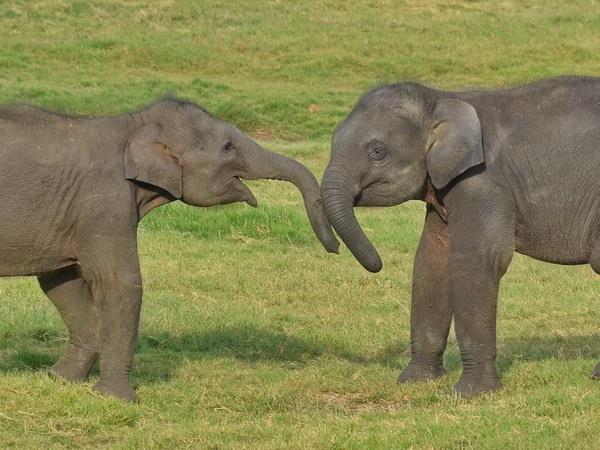 Sri Lanka photography tour
