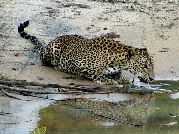 Sri Lanka photography tour