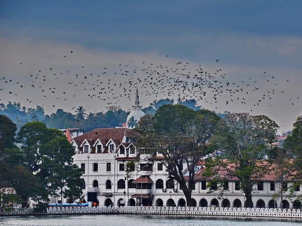 Sri Lanka photography tour