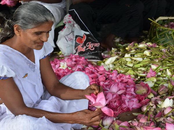Sri Lanka photography tour