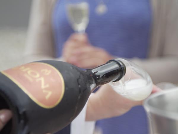 Food and wine tour in Croatia and Slovenia