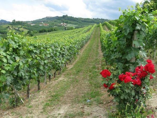 Romagna cycling vacation in Italy