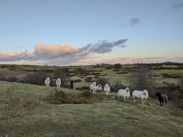 Mindful hiking vacation in Wales