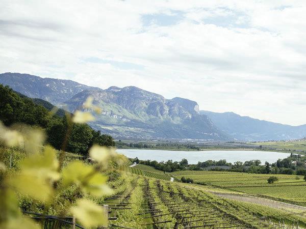 South Tyrol to Verona cycling vacation in Italy