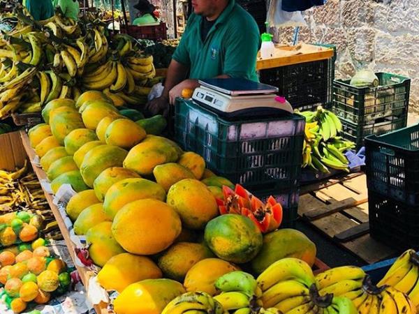 Costa Rica nature and culture vacation