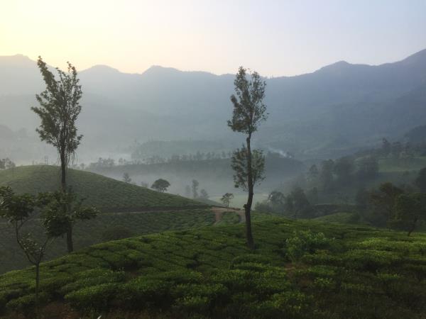 Kerala holiday, hidden gems of India