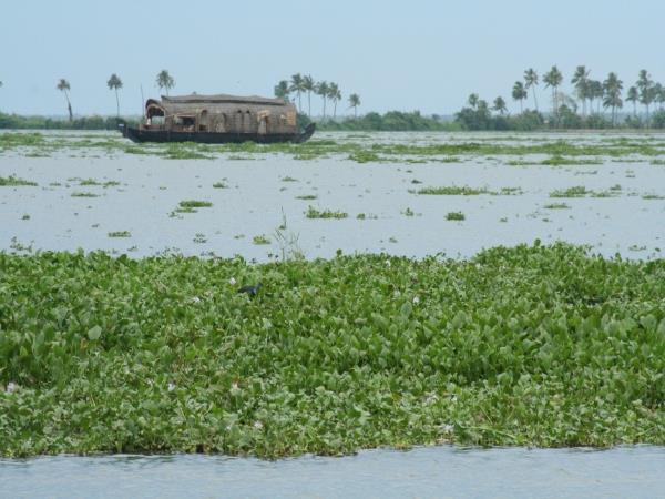 Tailor made houseboat cruise in Kerala, India