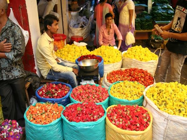 Karnataka tailormade vacation, India
