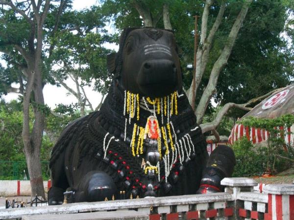 Kerala and Karnataka tour, India