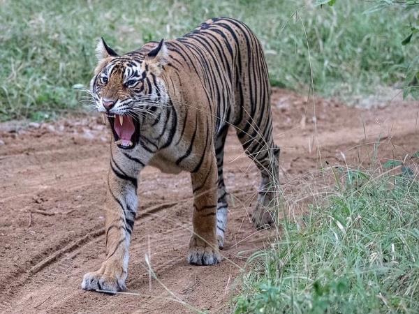 Kerala and Karnataka tour, India