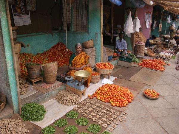 Kerala and Karnataka tour, India