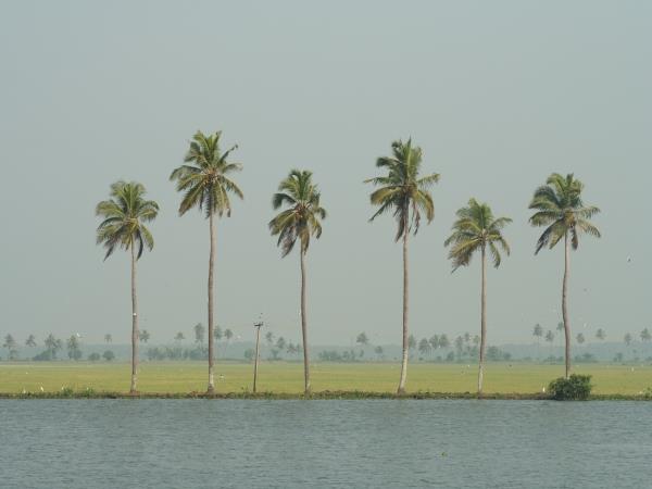 Kerala summer vacation special