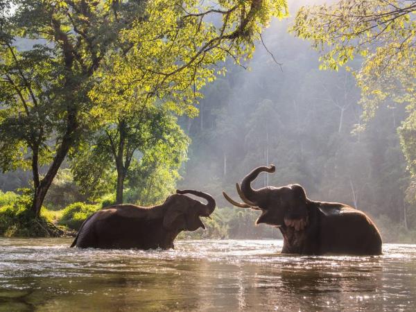 Kerala 8 day tour with luxury houseboat