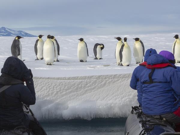 Antarctica and New Zealand Subantarctic Islands cruise