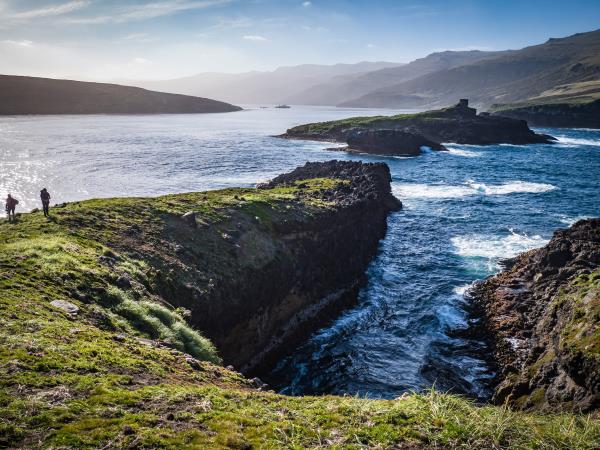 Wildlife Cruise of New Zealand Subantarctic Islands