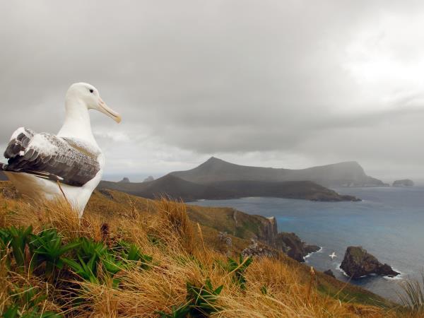 New Zealands Subantarctic Islands cruise