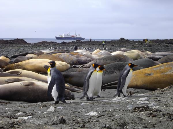 New Zealands Subantarctic Islands cruise