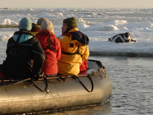 Sea of Okhotsk wildlife cruise, Russia