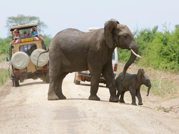 Uganda primate safari and wildlife vacation