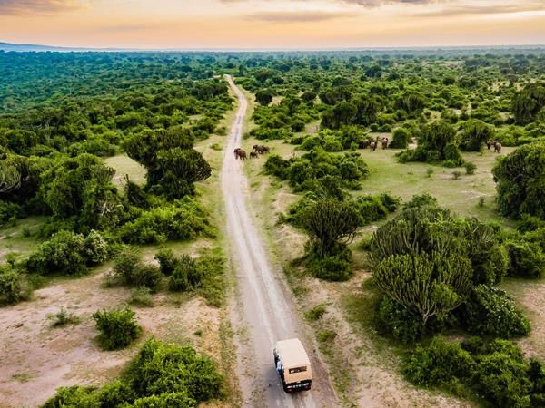 Uganda primate safari and wildlife vacation