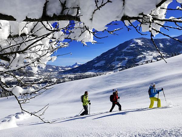 Snowshoeing in Austria, East Tyrol