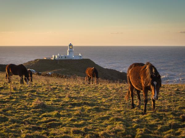 Pembrokeshire coast walking vacation