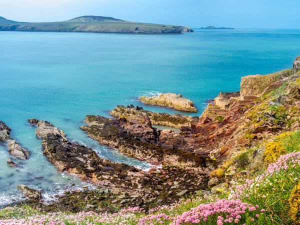 Pembrokeshire coast walking vacation