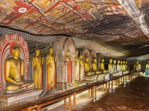 Sri Lanka food and culture tour, 11 days 