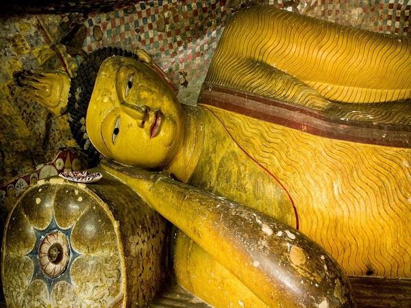 Sri Lanka food and culture tour, 11 days 