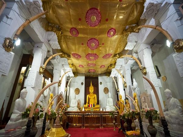 Sri Lanka food and culture tour, 11 days 